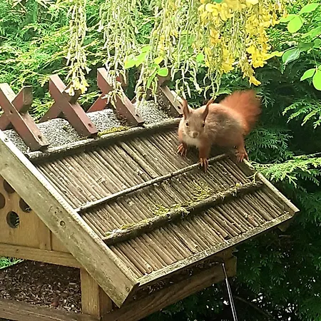 De Poppenstuv * Fahrdorf (Schleswig-Holstein)